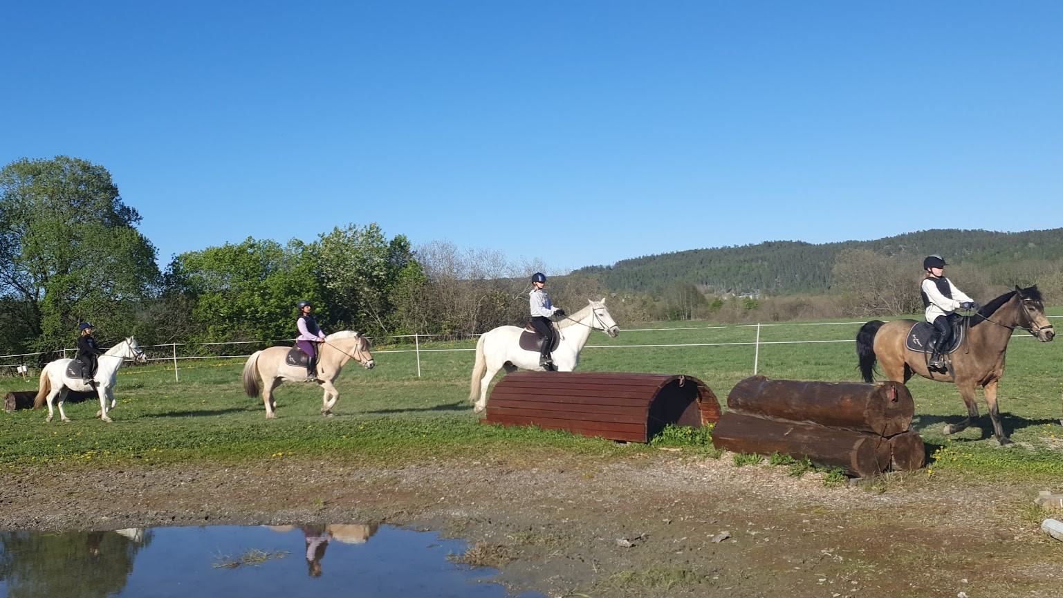 Hester med ryttere på jorde