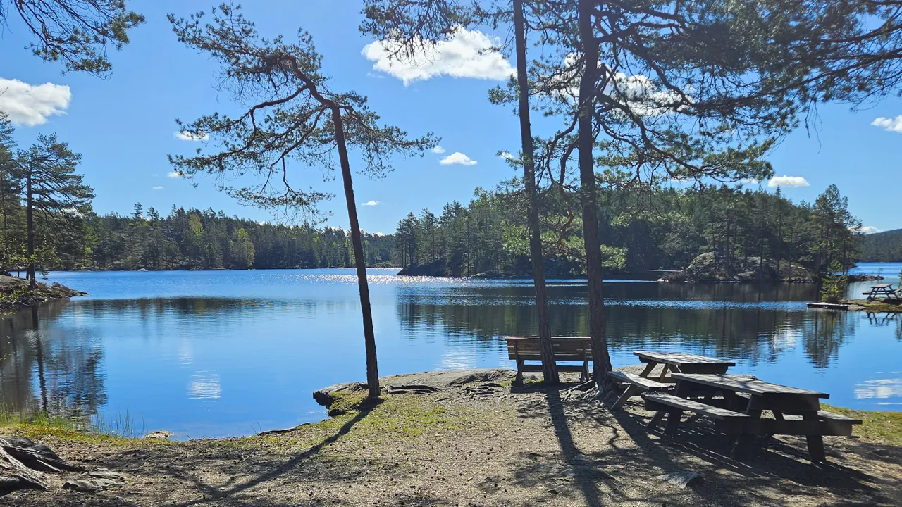 En innsjø omgitt av trær med en benk i forgrunnen.
