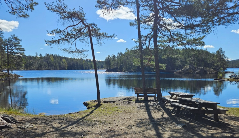 En innsjø omgitt av trær med en benk i forgrunnen.