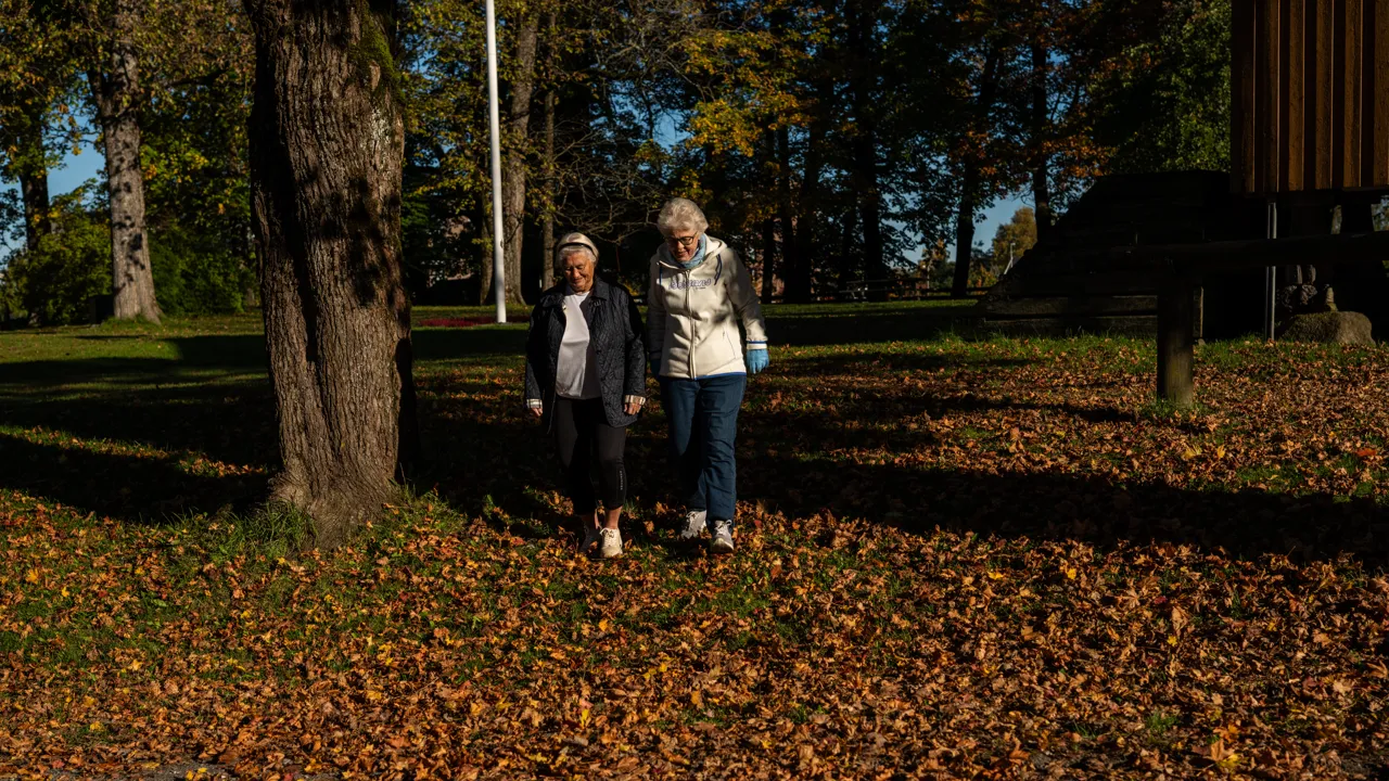Eldre mennesker i aktivitet på Huseby gård