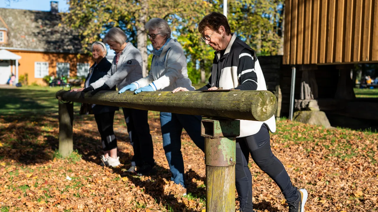 Eldre mennesker i aktivitet på Huseby gård
