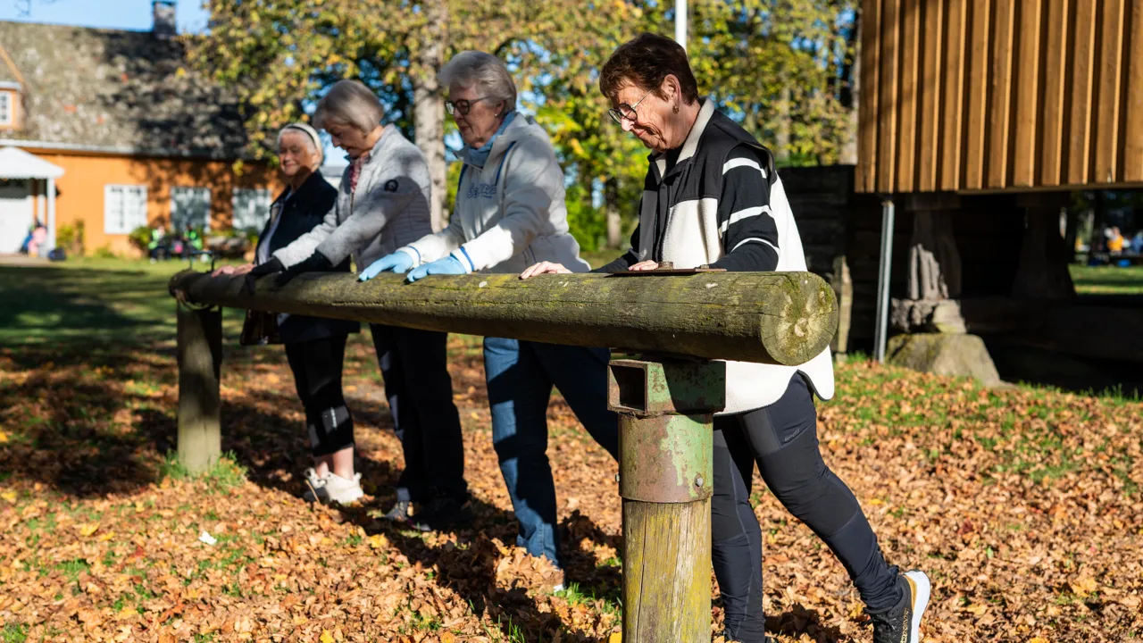 Eldre mennesker i aktivitet på Huseby gård