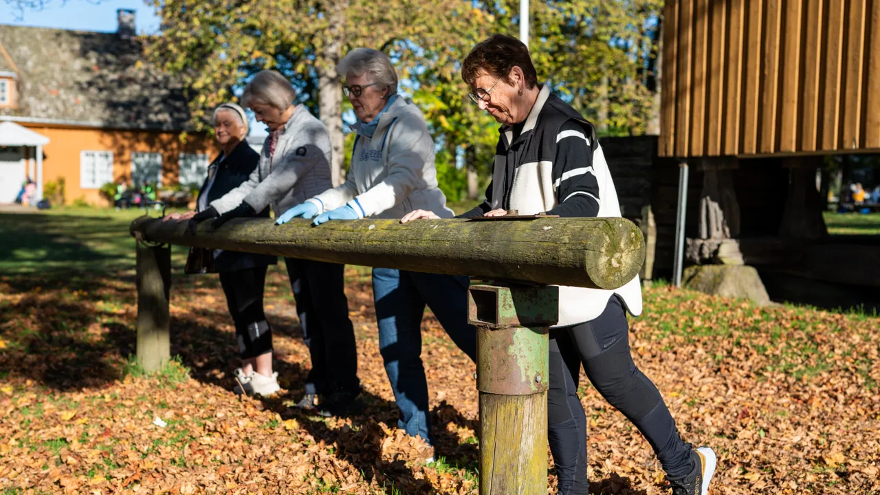Eldre mennesker i aktivitet på Huseby gård