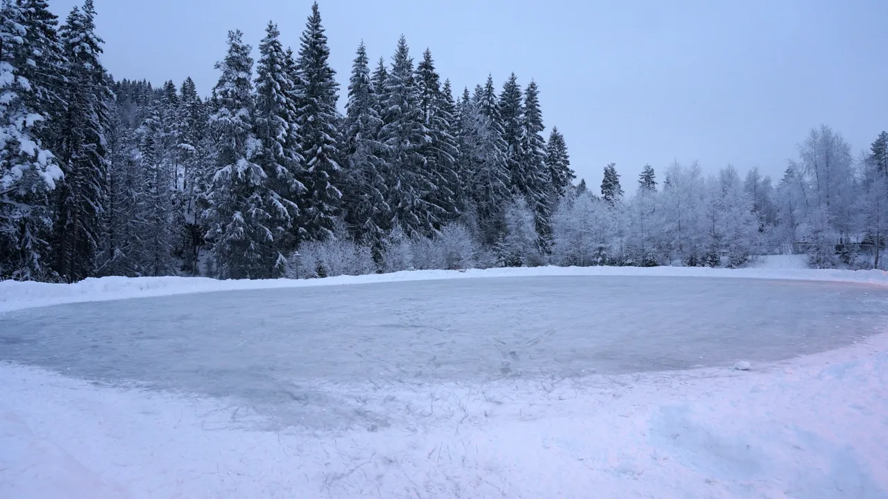 Et snødekt skøytebane med trær i bakgrunnen.