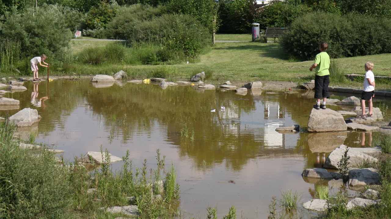 Bilde av fordrøyningsbasseng