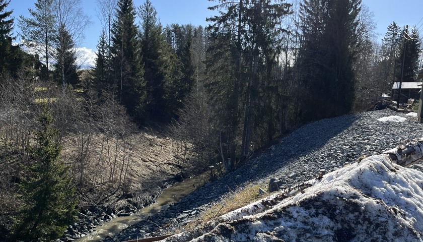 Bildet viser en skråning ned mot en bekk i utkanten av skog.