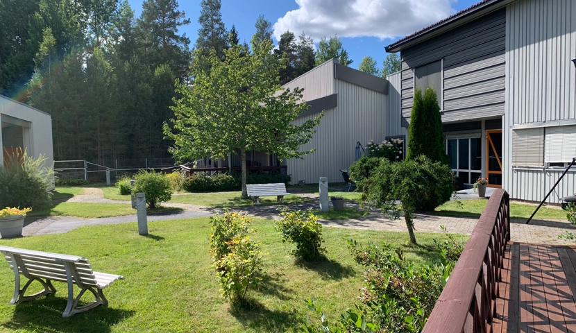 En trebenk i en grønn hage