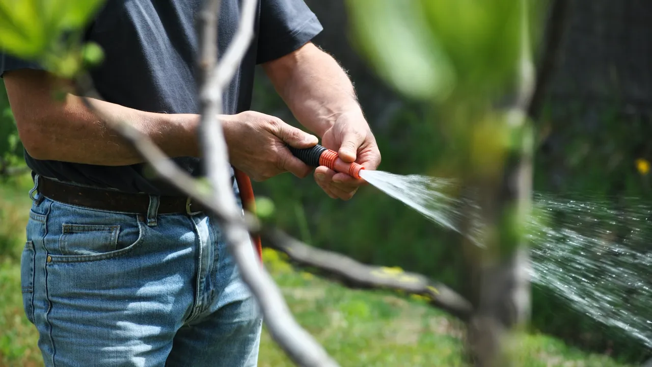 Mann som vanner i hagen.