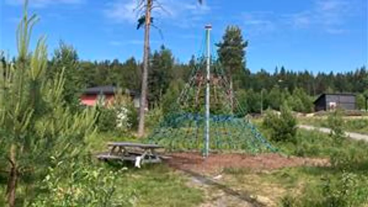 En grusvei som fører til et tre midt i skogen.
