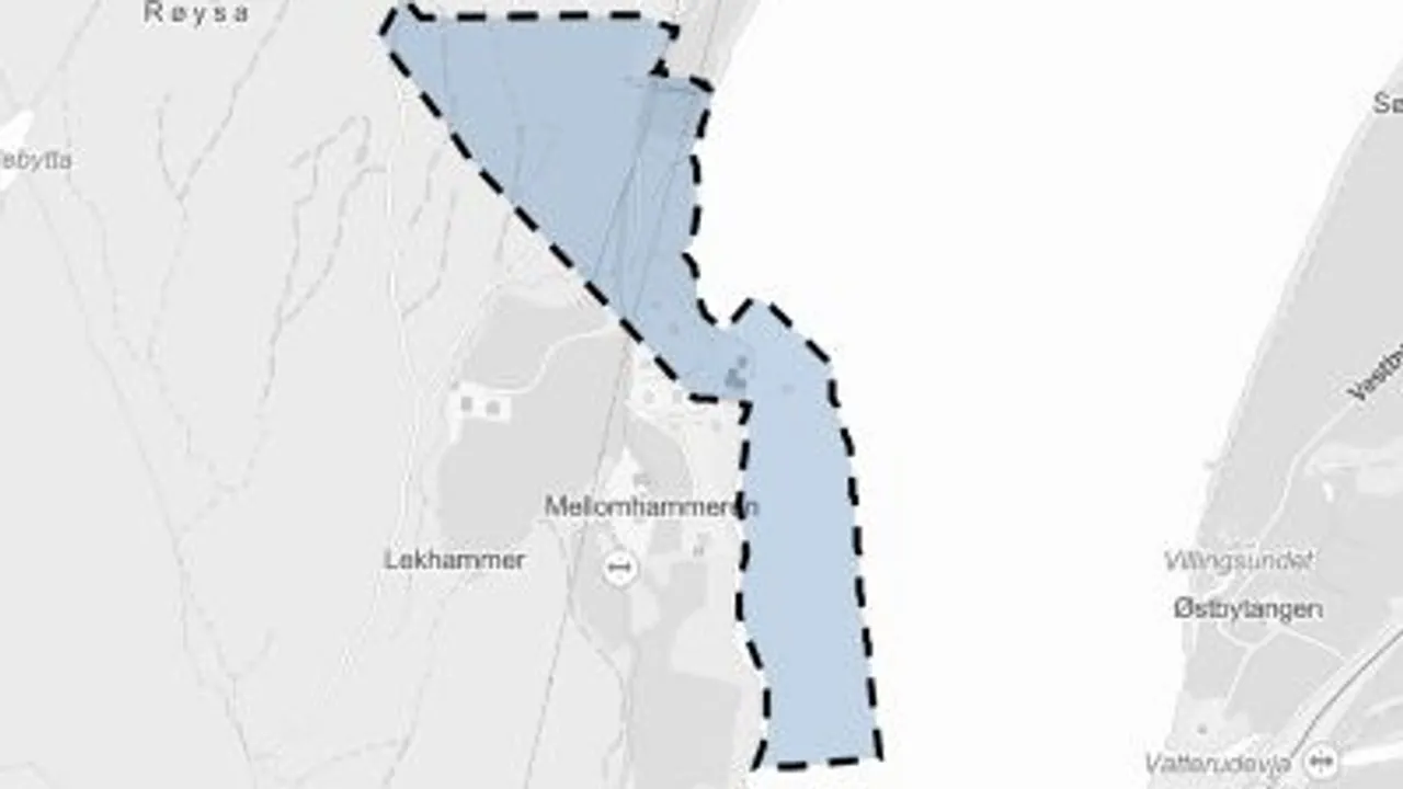 Kartutsnitt Hammeren