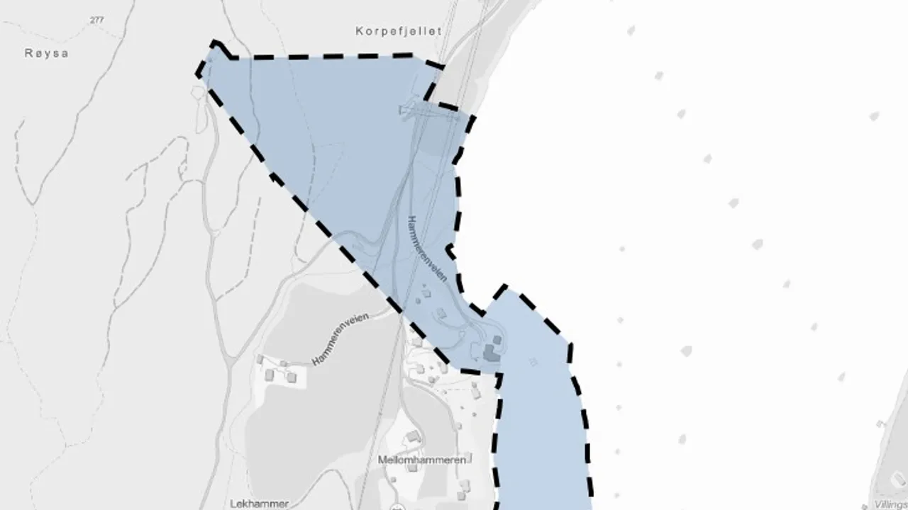 Kartutsnitt Hammeren