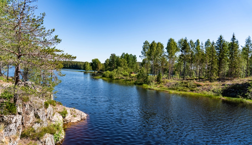 En vannmasse omgitt av trær og steiner.