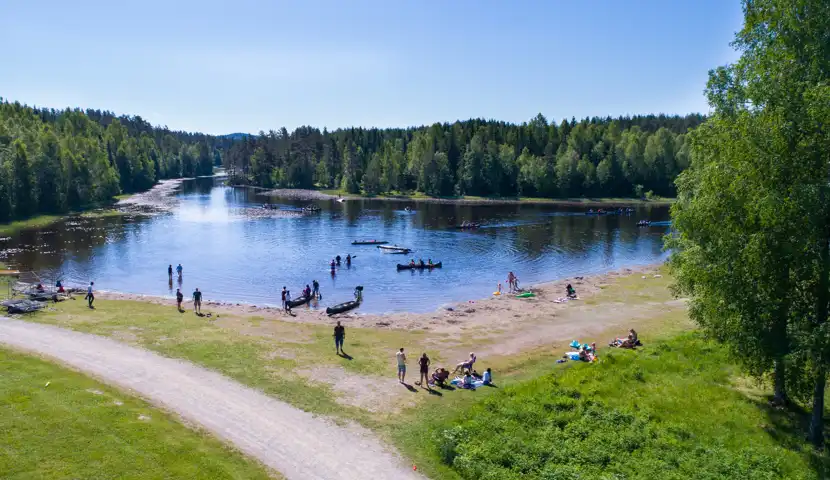 Hvaltjern