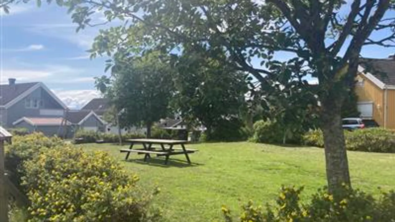 Et piknikbord midt i et gressområde.