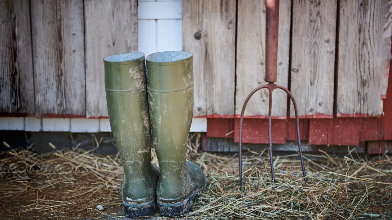 Landbruk Enebakkneset