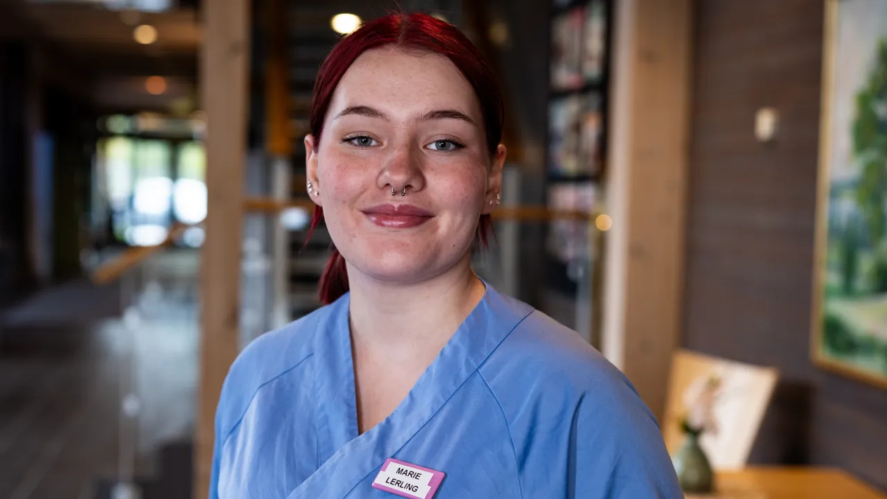 Temabilder lærlinger