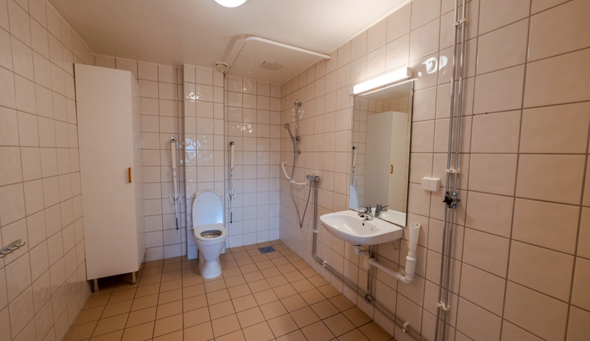 Et bad med toalett, vask, dusj og speil.