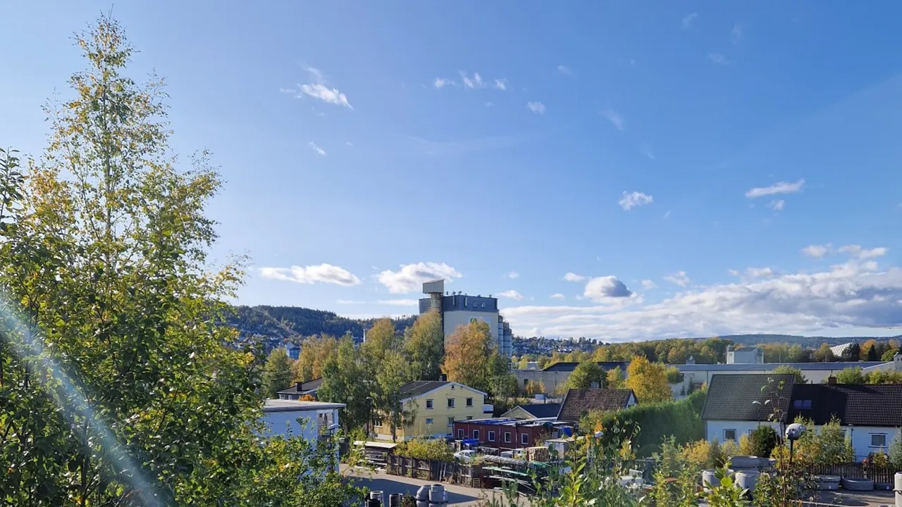 Oversiktsbilde av Nesa Nord