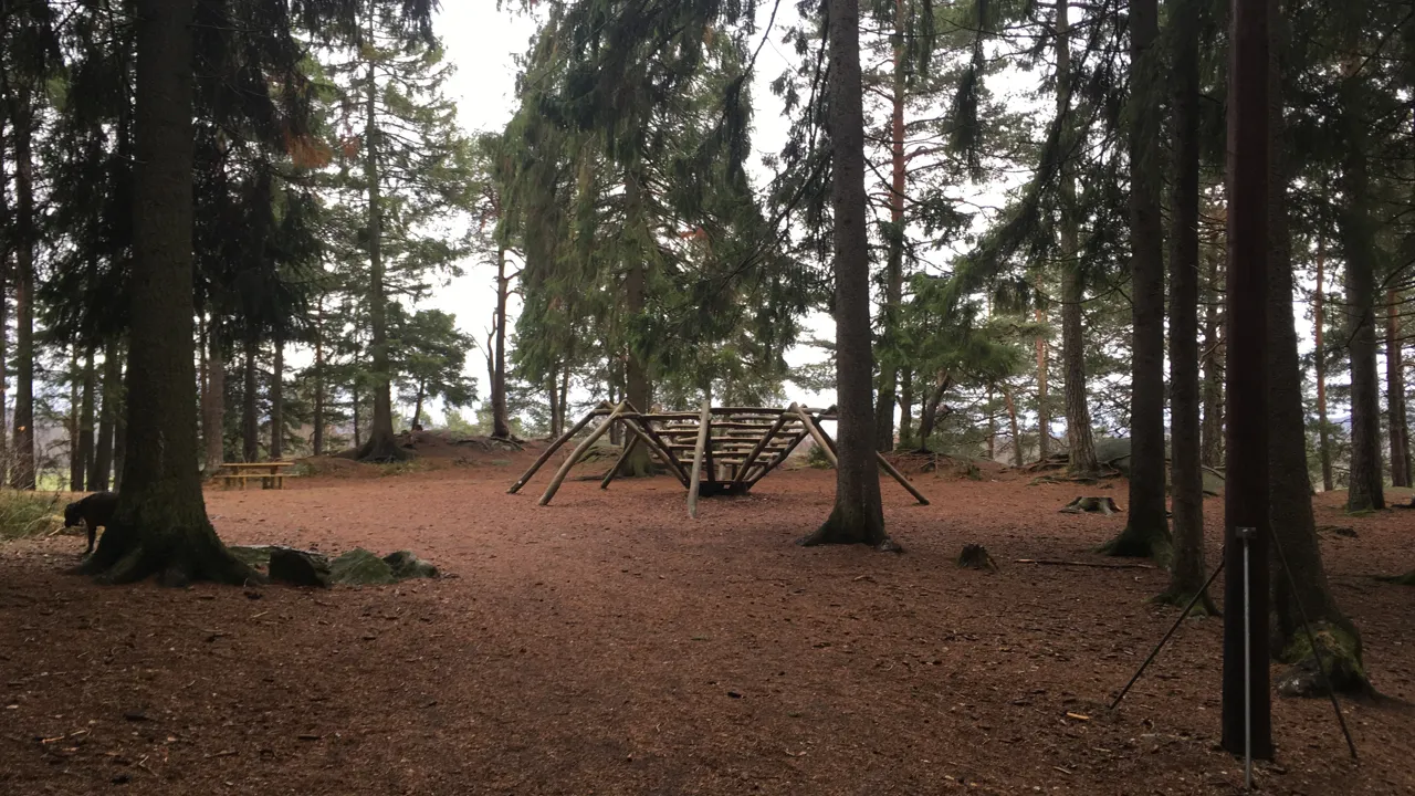 En huske av tre midt i en skog.