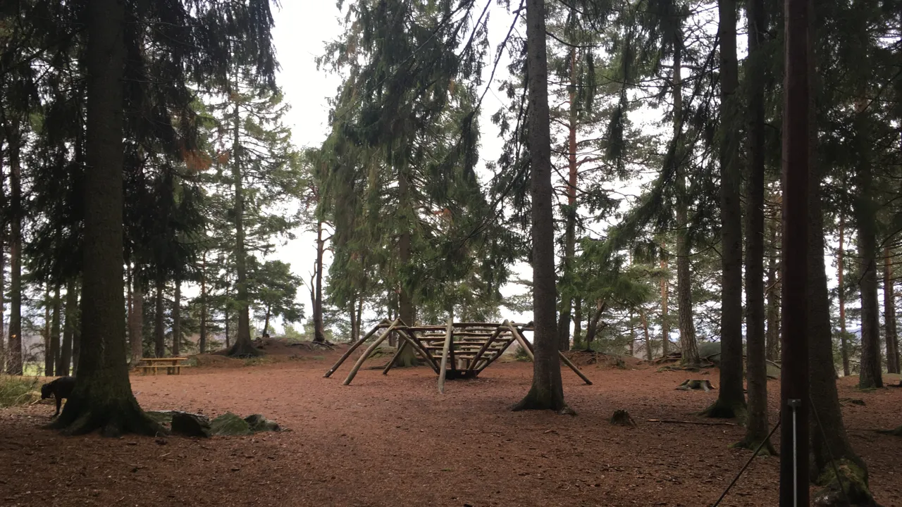 En huske av tre midt i en skog.