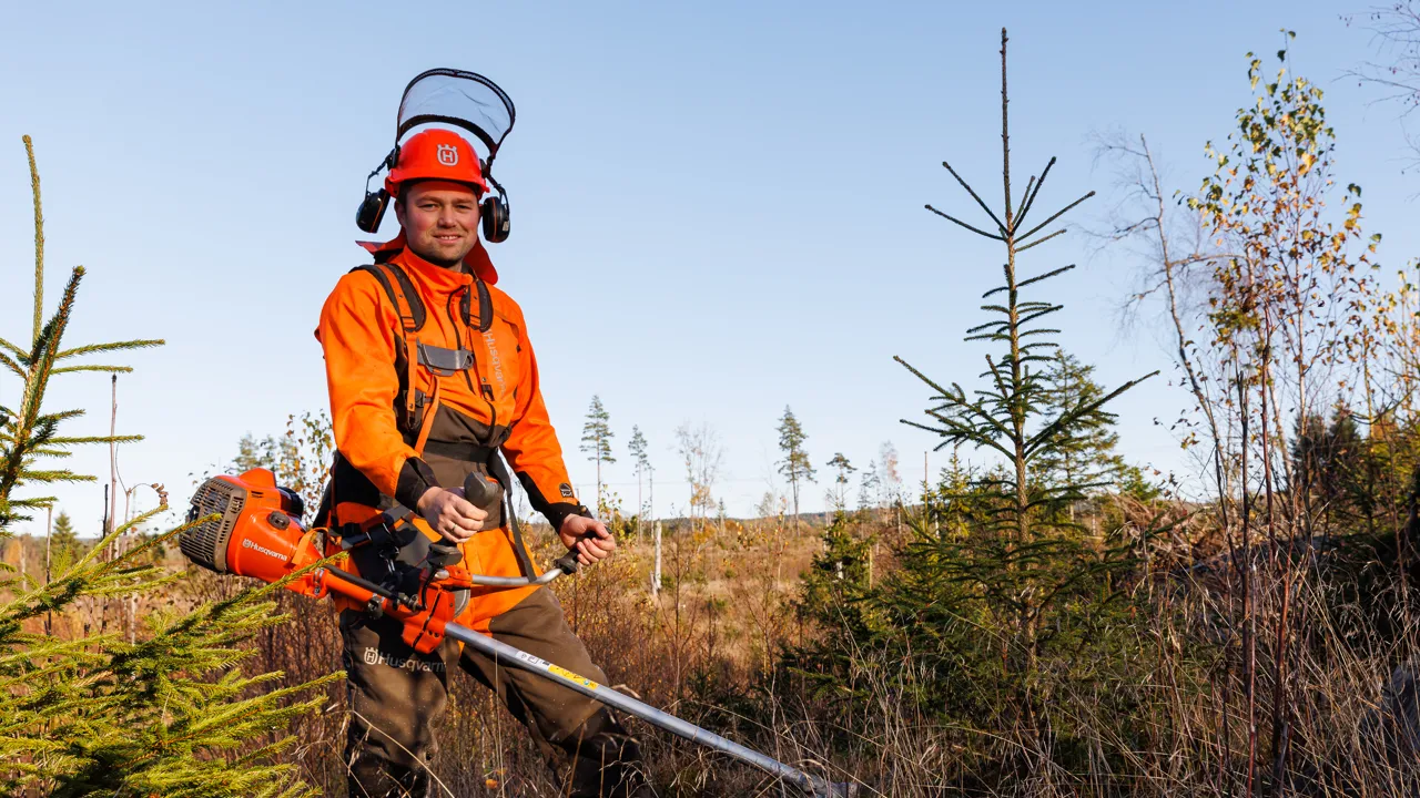 En mann med motorsag i en skog