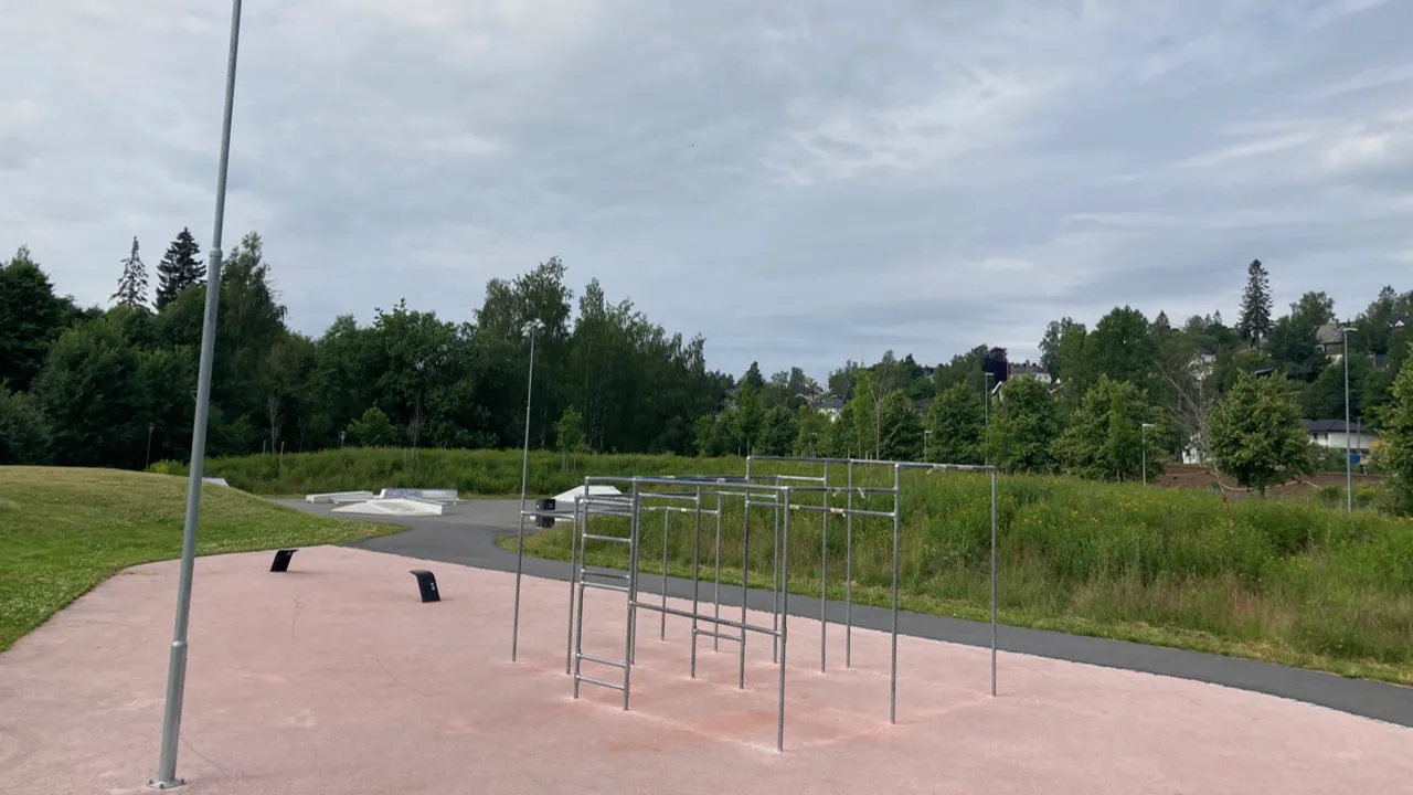En treningspark med mange stolper.