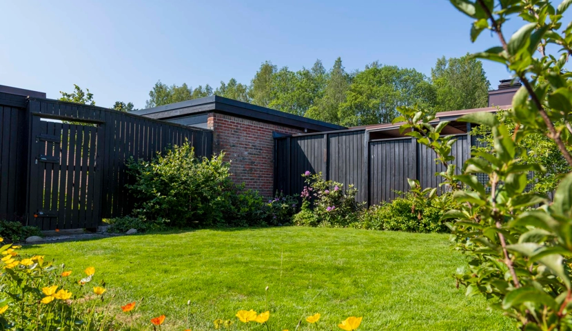 En bakgård med et gjerde og blomster i forgrunnen.