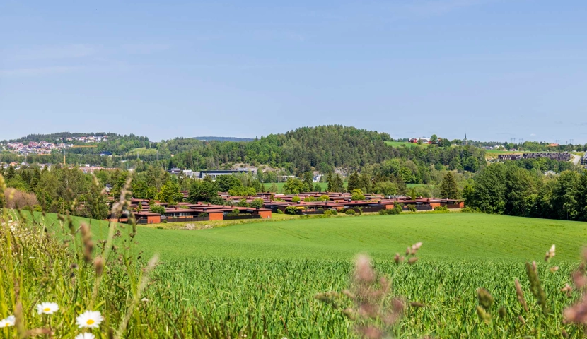 Et grønt felt med bygninger i det fjerne.