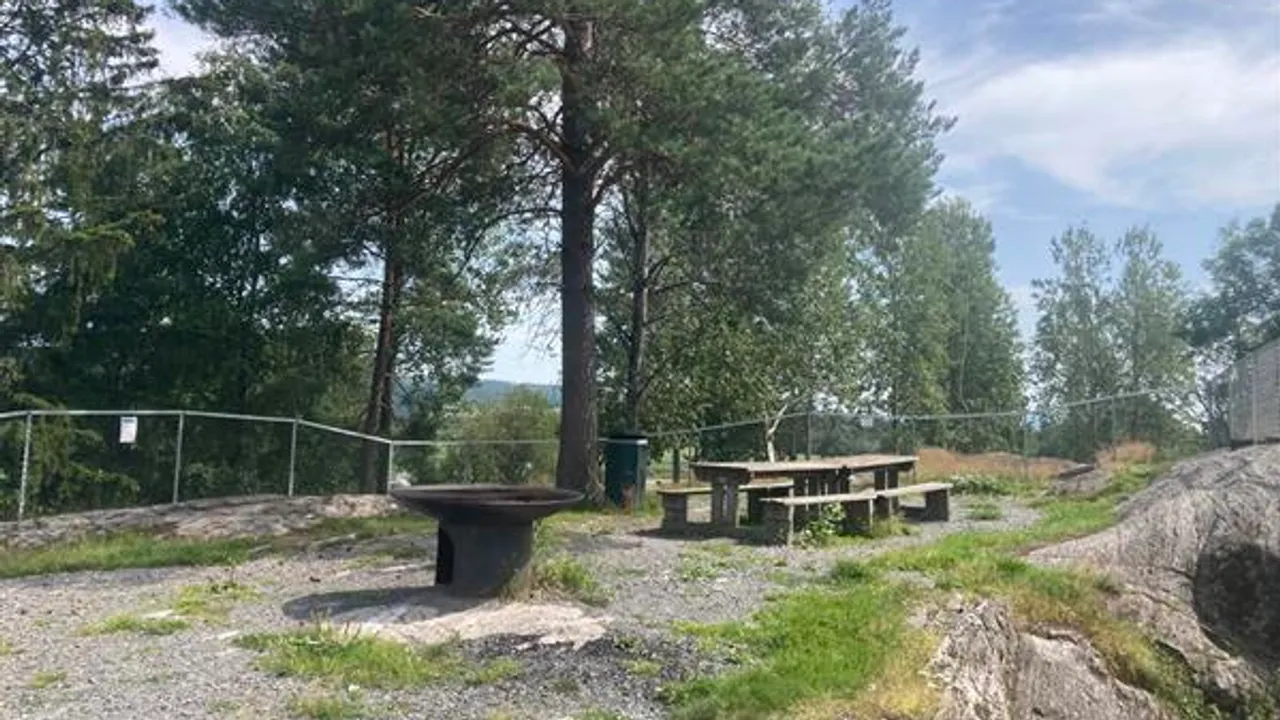 Benker og bålplass i skogkanten.