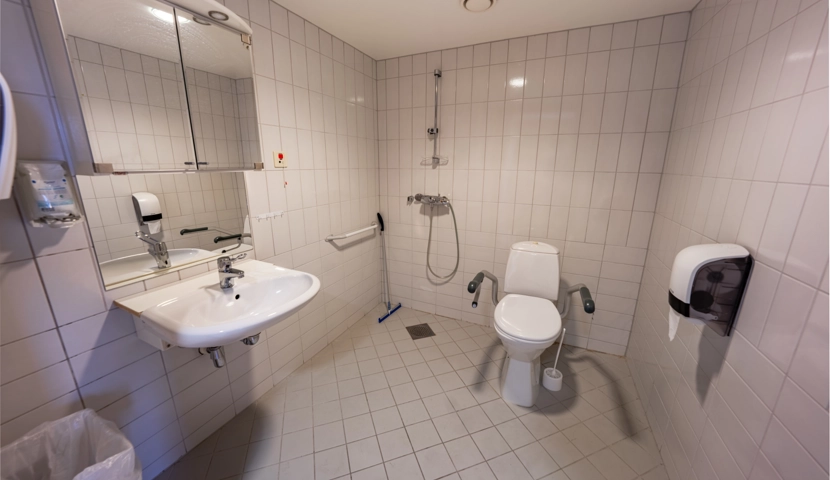 Et bad med toalett, dusj, vask og speil.