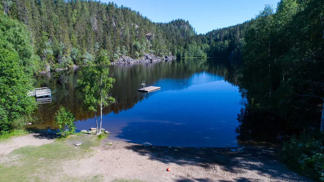 En vannmasse omgitt av trær og skog.