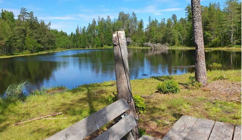 En trebenk ved siden av en innsjø.