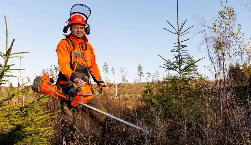 En mann med motorsag i en ung skog.