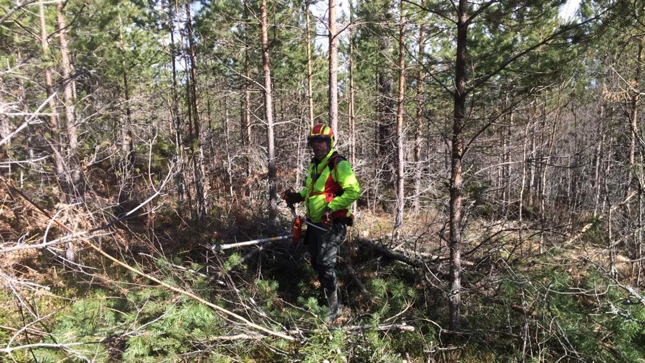 Mann med motorsag står i en skog