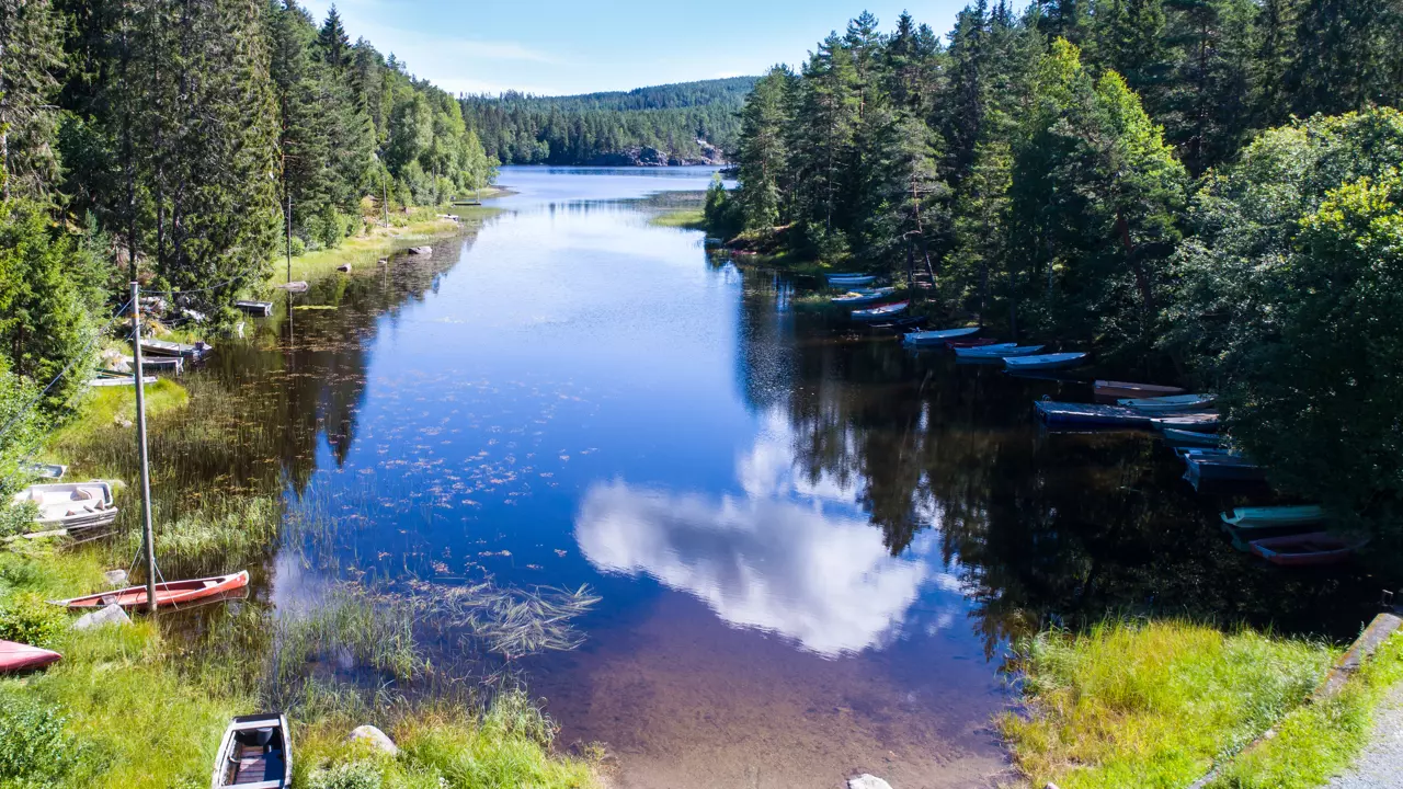 Varsjøen