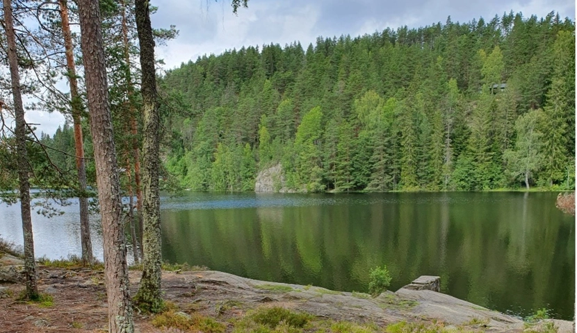 En stor vannmasse omgitt av trær.