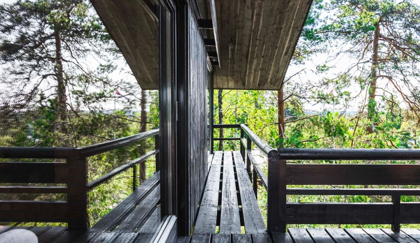 Et tredekk med utsikt over en skog.