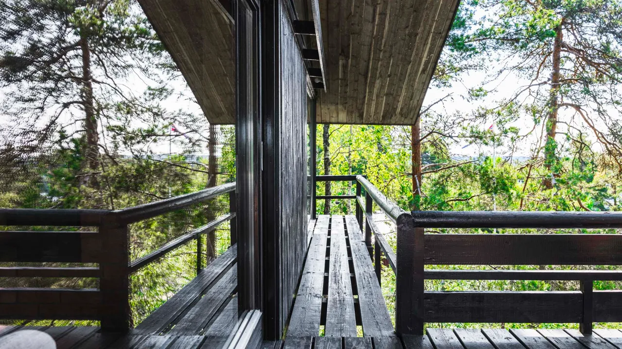 Et tredekk med utsikt over en skog.