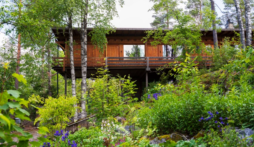 Et hus i skogen omgitt av trær.